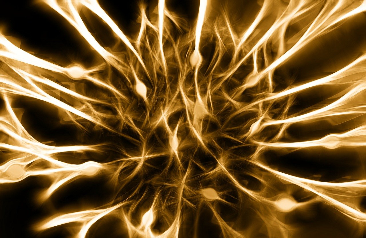 annoy, cells, dendrites sepia-346928.jpg